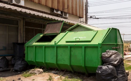 Giant RORO Bin