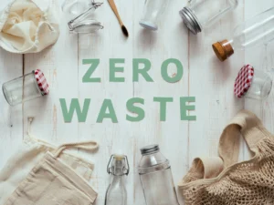 Read more about the article Why Traditional Waste Disposal Is Failing and Zero Waste Management Is Taking Over